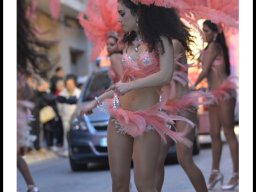Carnaval de Mula 2014
